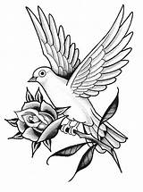 Colombe Oiseau sketch template