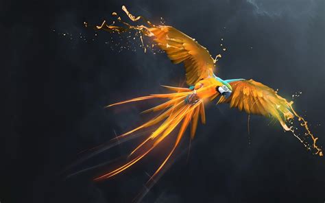 parrot os wallpapers wallpaper cave