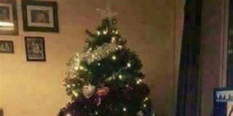 former wwe star posts christmas tree photo fails to crop out the porn