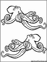Coloring Pages Royalty Popular Octopus sketch template