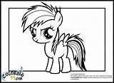 Coloring Rainbow Dash Pages Pony Little Baby Equestria Mlp Girls Colouring Printable Girl Colors Team Applejack Minister Comments Popular sketch template