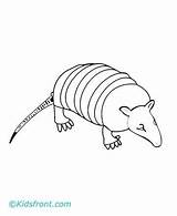 Armadillo Coloring Pages Animal Kidsfront Kids sketch template