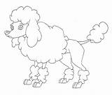 Poodle Coloring Pages Toy Labradoodle Printable French Standard Getcolorings Getdrawings Color Print Template Colorings sketch template