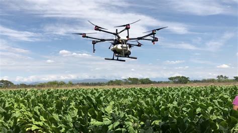 drone  fumigar dji agras mg  drone agricultor trabajando en tabaco scorpion drones youtube