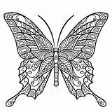 Mandala Coloring Pages Butterfly Adults Adult Printable Sheets Insect Kids Flower Peaksel Color Choose Board Colouring Visit Read Simple Book sketch template