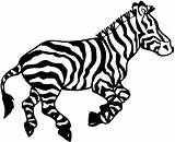 Colorare Zebra Zebre Disegni Zebras sketch template