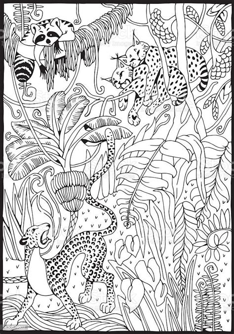 coloring pages  rainforest