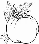 Vegetable Vegetables Coloring Pages Food Healthy Drawing Pumpkin Line Printable Kids Unhealthy Fruits Clipart Color Fall Fruit Preschoolers Veggie Draw sketch template