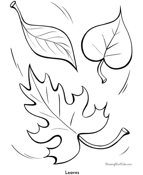 tree leaves  print  color fall coloring pages leaf coloring