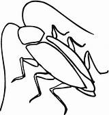 Cucaracha Contorno sketch template