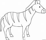 Coloriage Maternelle Zebra Imprimer Zebre sketch template