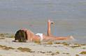 Alexandra Burke Leaked Nude Photo