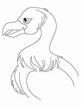 Vulture Coloring Jatayu Pages Library Clipart Popular sketch template