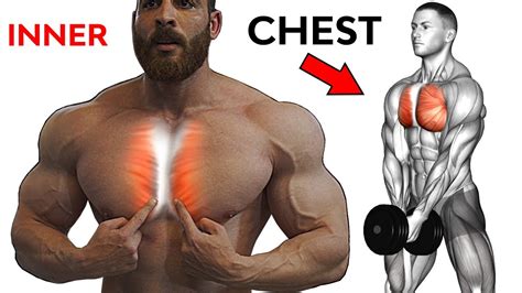 chest workout  exercises     chest  chiseled