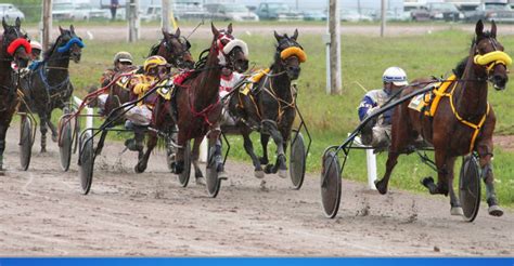 south australian harness racing club incorporated globe derby drive