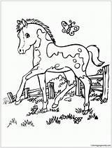 Coloring Horse Cute Pages Pretty Marvelous Color Online Print Printable Getcolorings Coloringpagesonly Amazing sketch template