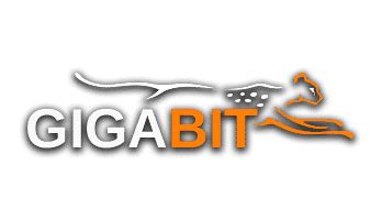 gigabit se hvad gigabit  give dig af internet  dag