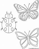 Coloring Butterflies Ladybug Insects Two Color Print Activity Great Kids Who Bigactivities Ladybug2 sketch template