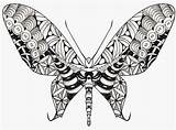 Zentangle Butterflies Henna Burns Brendan sketch template