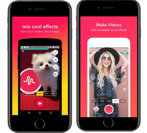 how to create a musical video app like musical ly and tiktok