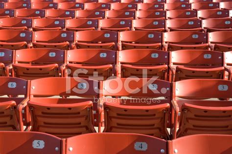amphitheater seats stock photo royalty  freeimages