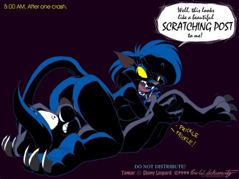 Rule 34 Ass Black Cat Darke Katt Eric Schwartz Feline Female Male
