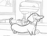 Mascotas Buddy Secreta Malvorlagen Dachshund Haustiere Drucken Gidget раскраски Geheime Book все категории из Raskrasil Fürr sketch template