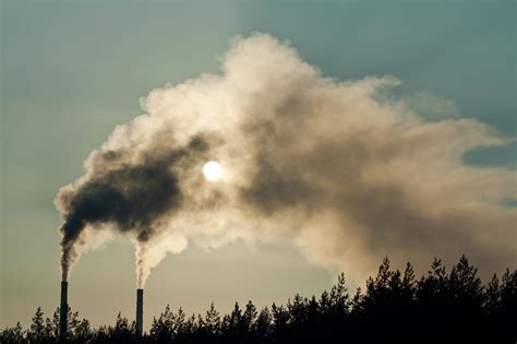 air pollution linked  mental health issues  children