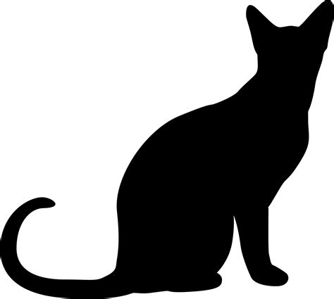 black  white cat silhouette   black  white cat