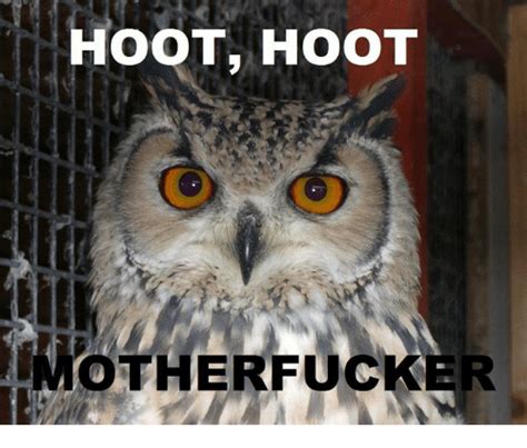🔥 25 best memes about hoot hoot motherfucker hoot hoot motherfucker