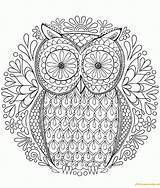 Owl Flower Pattern Pages Coloring Color sketch template