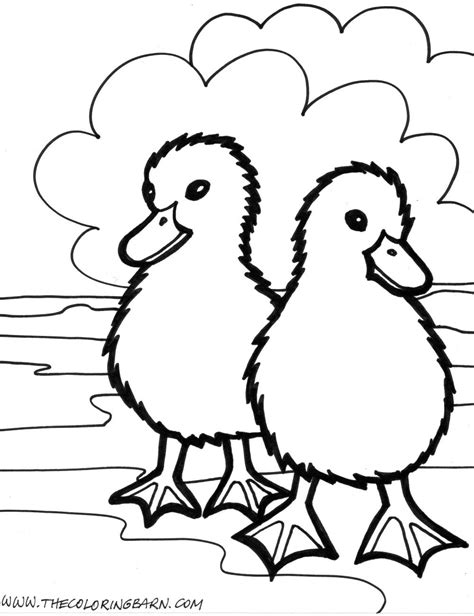 baby farm animal coloring page wecoloringpagecom coloring pages