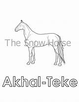 Coloring Teke Akhal sketch template