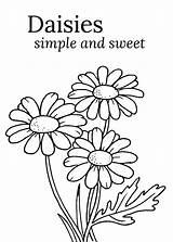 Daisy Coloring Pages Rocks Print sketch template
