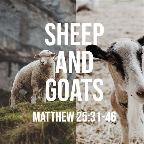 matthew   sheep  goats god centered life