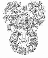 Reindeer Renos Reindeers Rentiere Malvorlagen Rentier Coloringbay Colorit Sample Erwachsene Ciervo Ausmalvorlagen Herbst sketch template