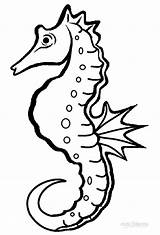 Seahorse Seepferdchen Cool2bkids Realistische Ausdrucken Simplicity sketch template
