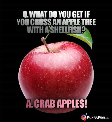 apple jokes apple pie puns baked humor painfulpunscom
