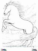 Coloring Horse Pages Horses Realistic Headless Carriage Printable Horseman Mustang Baby Draft Detailed Getcolorings Clydesdale Running Wagon Color Getdrawings Colouring sketch template