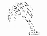 Palm Tree Coconut Coloring Coloringcrew sketch template