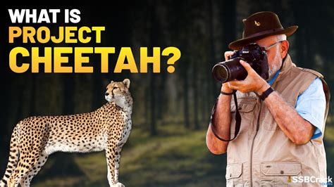 project cheetah fully explained