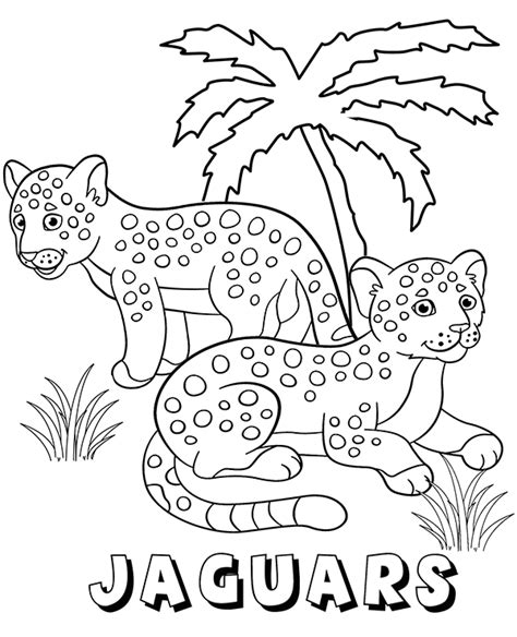 jaguars coloring page  kids