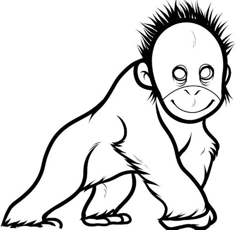 coloring pages baby orangutan cute coloring pages animal coloring pages