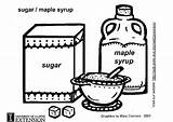 Zucchero Azucar Zucker Suiker Syrup Stroop Sirope Malvorlage Melassa Sugar Ausmalbild Kleurplaten Schulbilder Große Educolor Educima sketch template