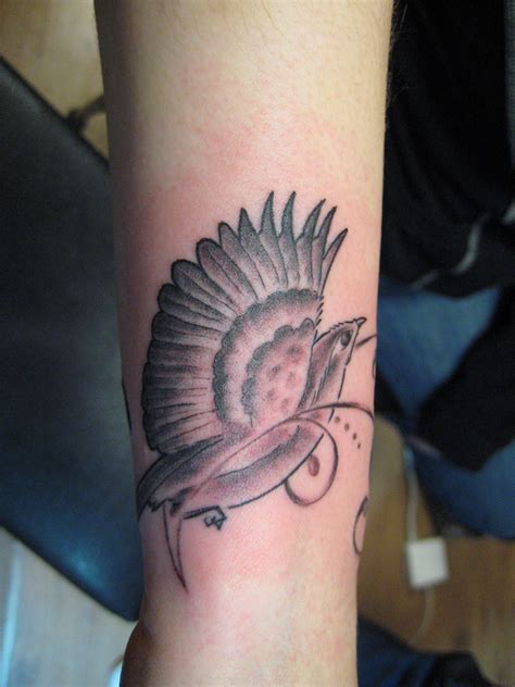 bird tattoos stunning bird tattoo designs ideas tattoo