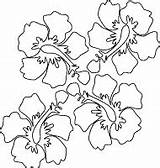 Coloring Pages Flowers Hawaiian Wedding Hibiscus Flower Tropical Adult Printable Sheets Activity Paradise Books Outline Drawing sketch template