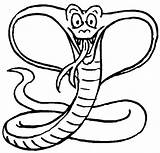 Cobra Cobras Pages Colorat Planse Desene Pintar Slang Snakes Educative Trafic sketch template