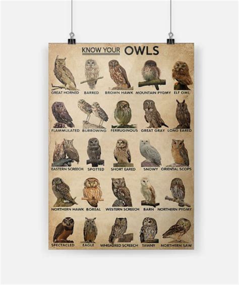 owls poster boxbox branding luxury  shirts   usa