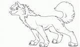 Wolf Wolves Coloringhome Fox sketch template