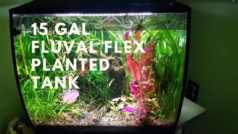 15 gal fluval flex planted tank youtube